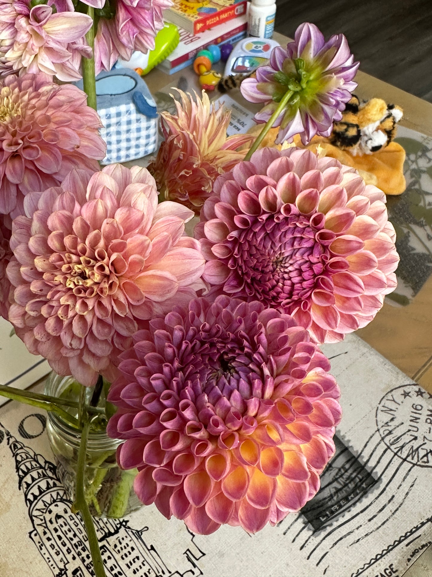 Bracken Rose (US) (small clump)