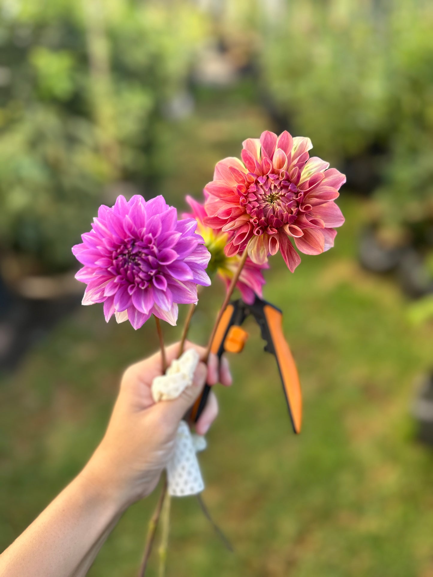 WB’s Misbehavin’